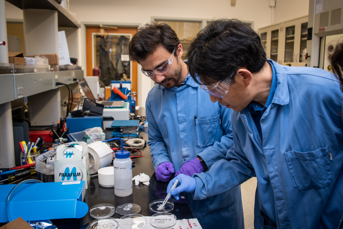 Gao Liu with researcher in his Lab